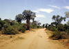 A typical Madagascan "highway"