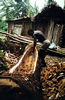 A new canoe takes shape.
