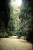 One of the canyons cutting through Isalo park.