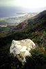 Fort Dauphin in the south-east.