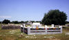 A grave in the south.