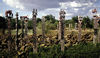 Graveposts on a Dakalawa tomb.