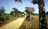 The road to the southernmost point of Madagascar.